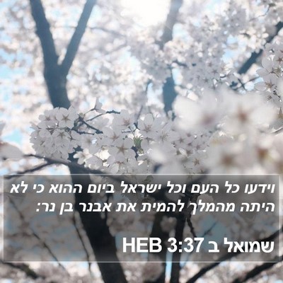 שמואל ב 3:37 HEB Bible Verse Image