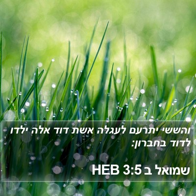 שמואל ב 3:5 HEB Bible Verse Image