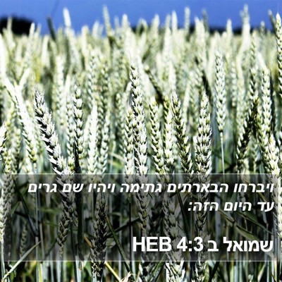 שמואל ב 4:3 HEB Bible Verse Image