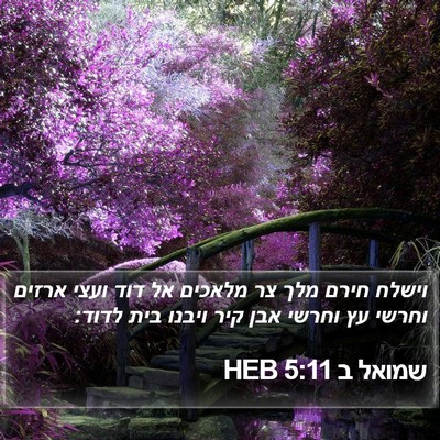 שמואל ב 5:11 HEB Bible Verse Image