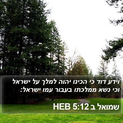 שמואל ב 5:12 HEB Bible Verse Image