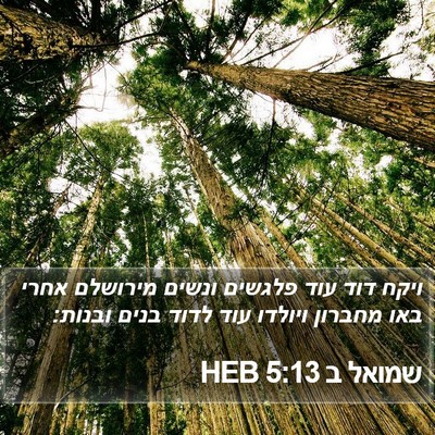 שמואל ב 5:13 HEB Bible Verse Image