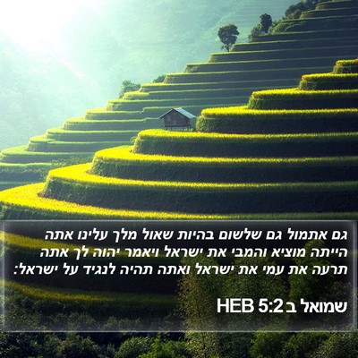 שמואל ב 5:2 HEB Bible Verse Image