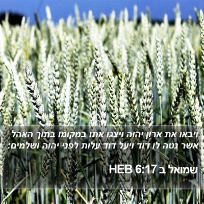 שמואל ב 6:17 HEB Bible Verse Image