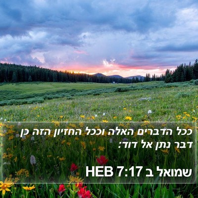 שמואל ב 7:17 HEB Bible Verse Image