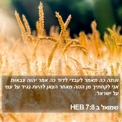 שמואל ב 7:8 HEB Bible Verse Image