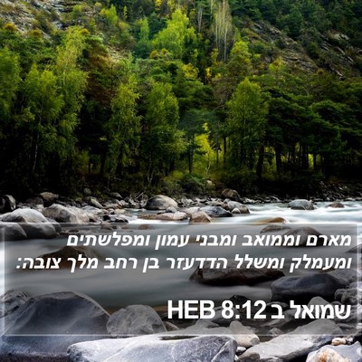 שמואל ב 8:12 HEB Bible Verse Image