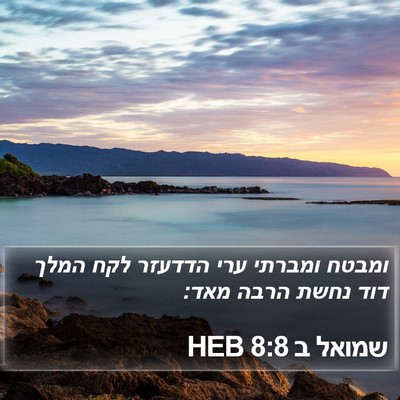שמואל ב 8:8 HEB Bible Verse Image