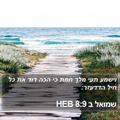 שמואל ב 8:9 HEB Bible Verse Image