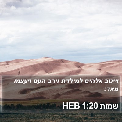 שמות 1:20 HEB Bible Verse Image