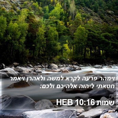 שמות 10:16 HEB Bible Verse Image