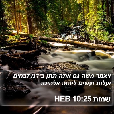 שמות 10:25 HEB Bible Verse Image