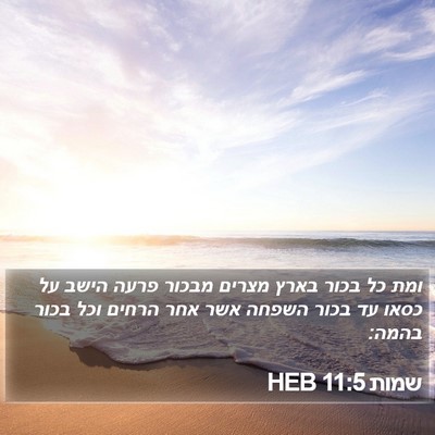 שמות 11:5 HEB Bible Verse Image