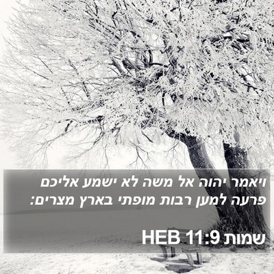 שמות 11:9 HEB Bible Verse Image