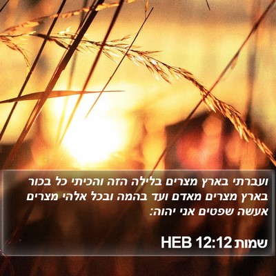 שמות 12:12 HEB Bible Verse Image