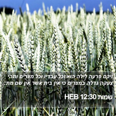 שמות 12:30 HEB Bible Verse Image
