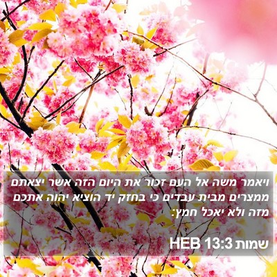 שמות 13:3 HEB Bible Verse Image