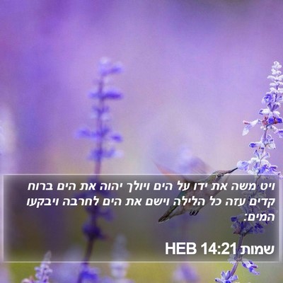 שמות 14:21 HEB Bible Verse Image