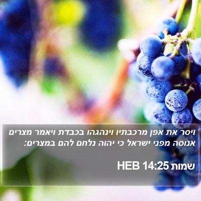שמות 14:25 HEB Bible Verse Image
