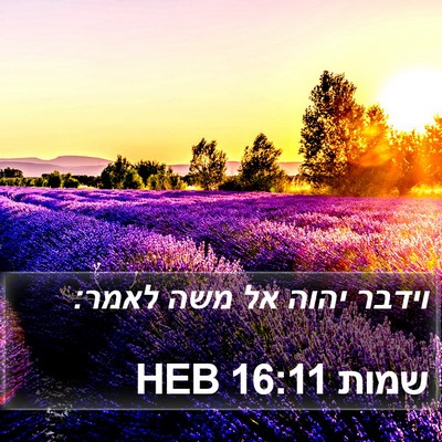 שמות 16:11 HEB Bible Verse Image