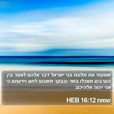 שמות 16:12 HEB Bible Verse Image