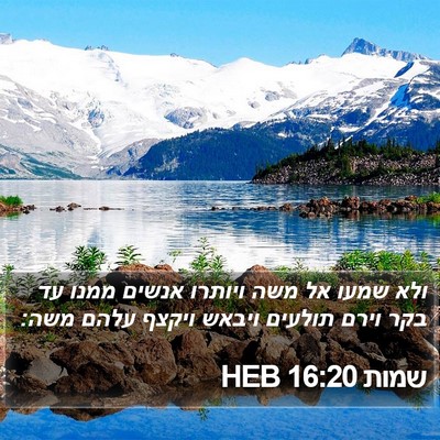 שמות 16:20 HEB Bible Verse Image