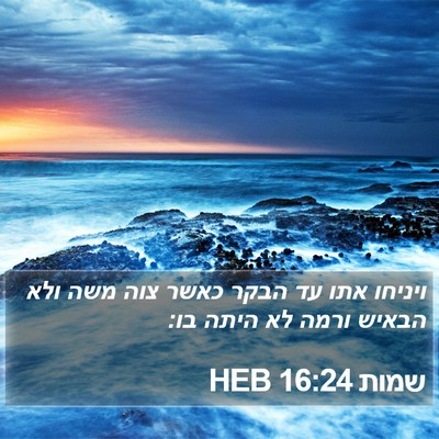 שמות 16:24 HEB Bible Verse Image
