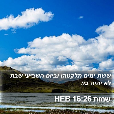 שמות 16:26 HEB Bible Verse Image