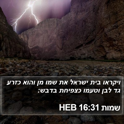 שמות 16:31 HEB Bible Verse Image