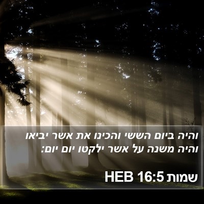 שמות 16:5 HEB Bible Verse Image