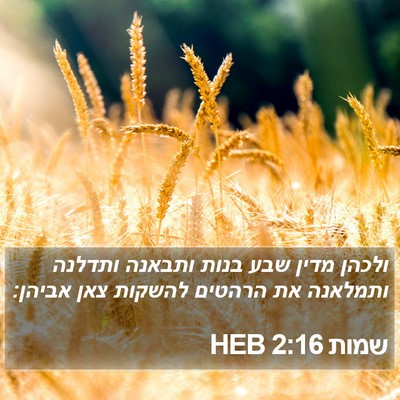 שמות 2:16 HEB Bible Verse Image