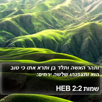 שמות 2:2 HEB Bible Verse Image