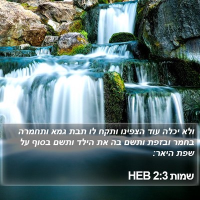 שמות 2:3 HEB Bible Verse Image
