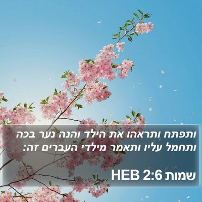 שמות 2:6 HEB Bible Verse Image