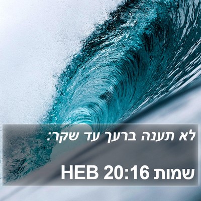 שמות 20:16 HEB Bible Verse Image