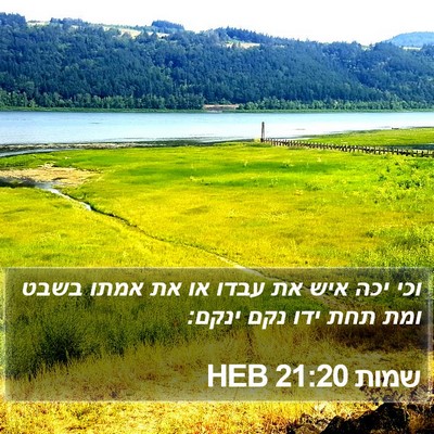 שמות 21:20 HEB Bible Verse Image
