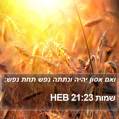 שמות 21:23 HEB Bible Verse Image