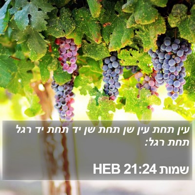 שמות 21:24 HEB Bible Verse Image