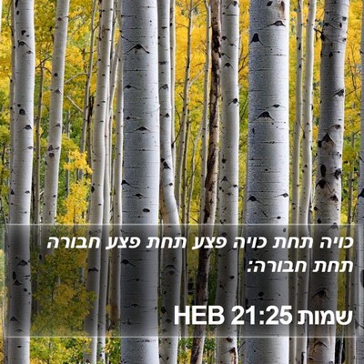 שמות 21:25 HEB Bible Verse Image