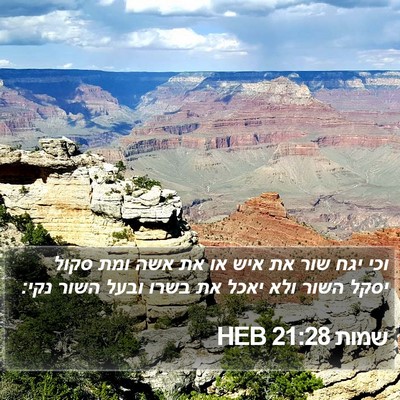 שמות 21:28 HEB Bible Verse Image