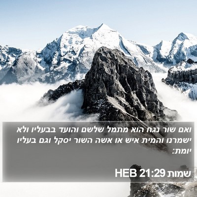 שמות 21:29 HEB Bible Verse Image