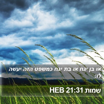 שמות 21:31 HEB Bible Verse Image