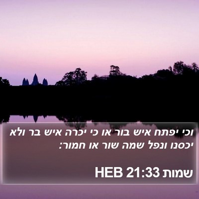 שמות 21:33 HEB Bible Verse Image