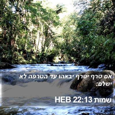 שמות 22:13 HEB Bible Verse Image