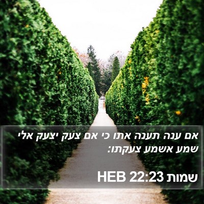 שמות 22:23 HEB Bible Verse Image