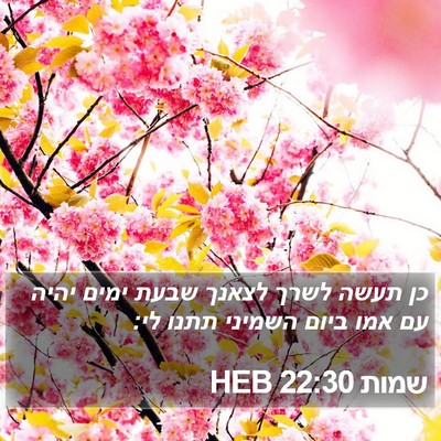 שמות 22:30 HEB Bible Verse Image