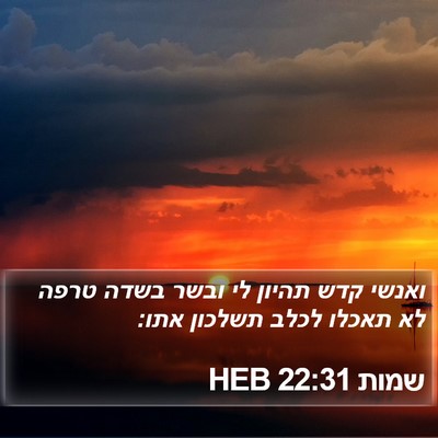 שמות 22:31 HEB Bible Verse Image