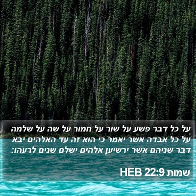 שמות 22:9 HEB Bible Verse Image