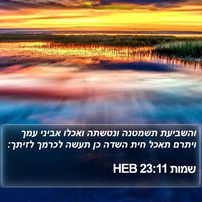שמות 23:11 HEB Bible Verse Image