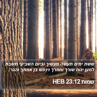שמות 23:12 HEB Bible Verse Image